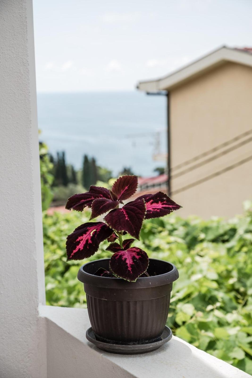 Adriatic Sea View Rooms Ülgün Dış mekan fotoğraf